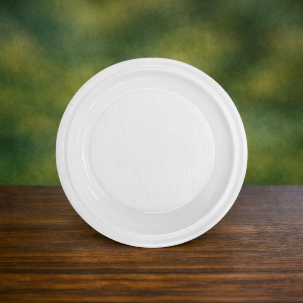 Plato Llano Redondo de 22 cm